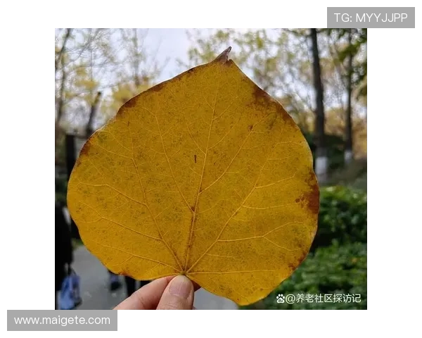 河北快三官方公告与最新资讯，第一时间掌握最新动态